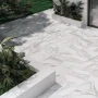 Apuan Bianco 3 Preview